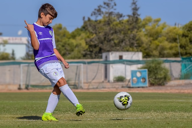 的亮點之一 的亮點之一