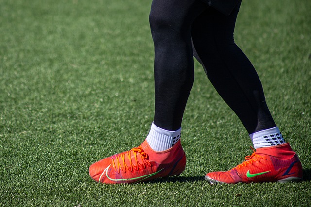 迷的回馈 迷的回馈