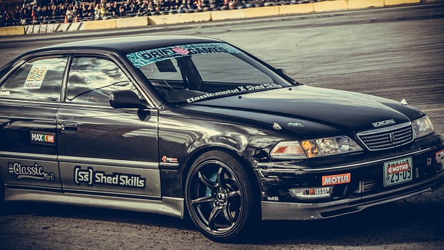 有力爭奪者 有力爭奪者