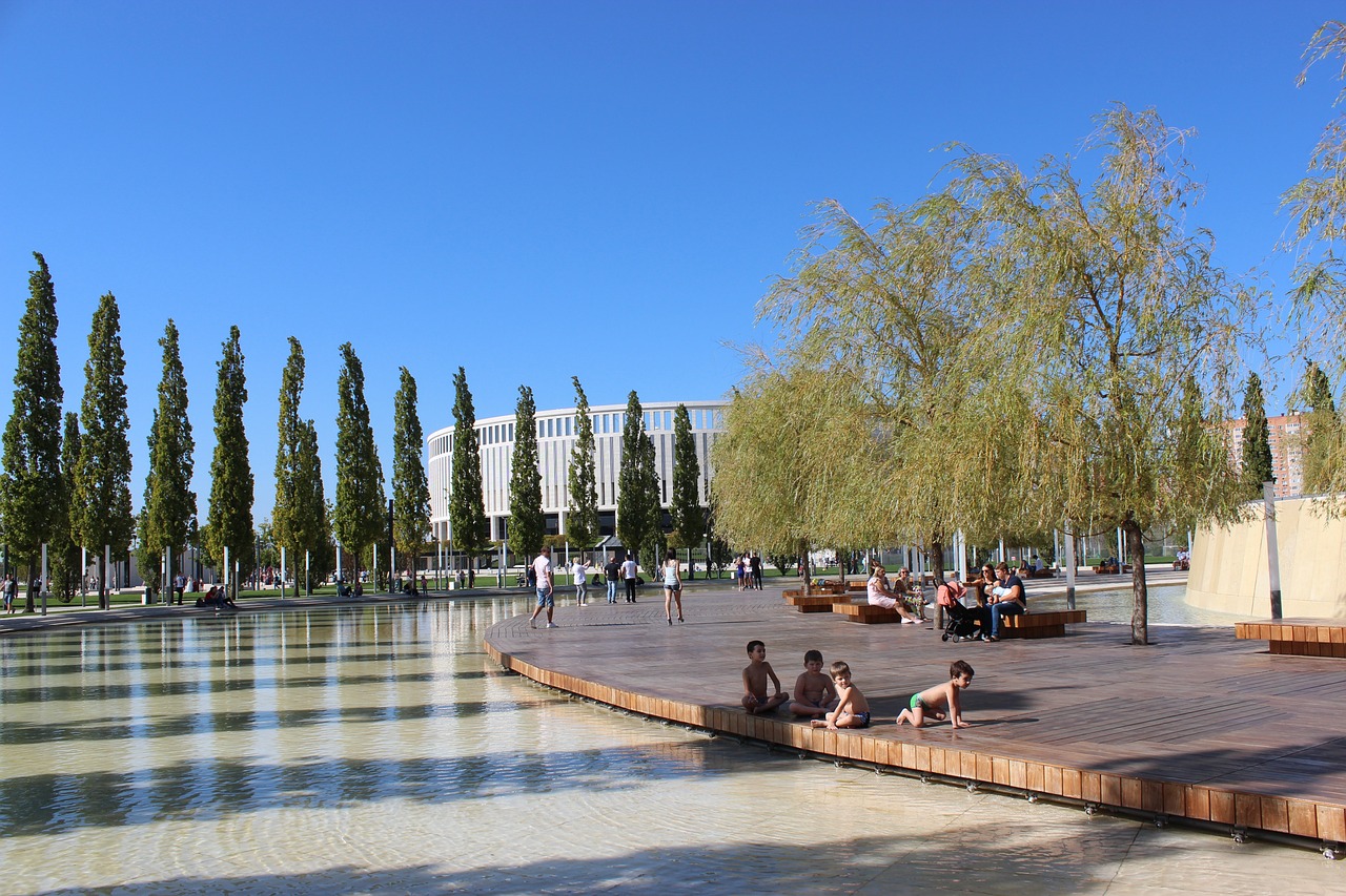 但这些初露 但这些初露