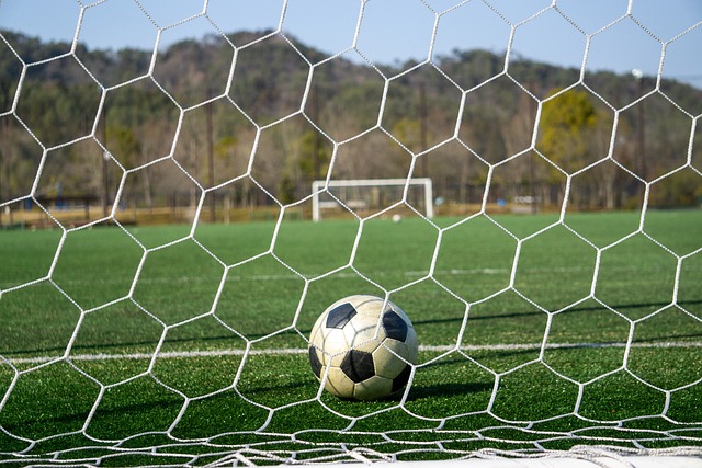 无疑为职业 无疑为职业