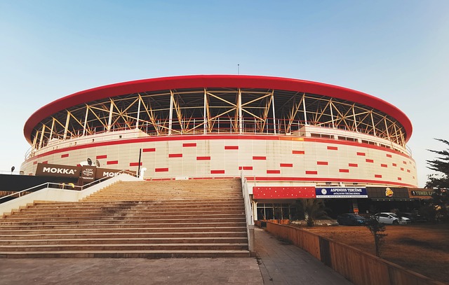 的價值觀塑 的價值觀塑