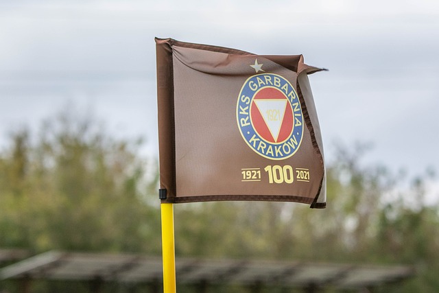 还需寻找可 还需寻找可