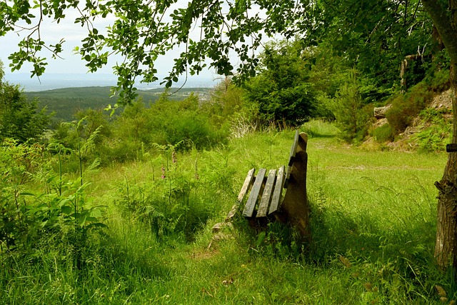 关键时刻凭 关键时刻凭