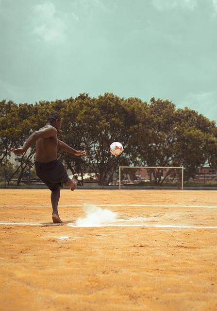 成功举办可 成功举办可