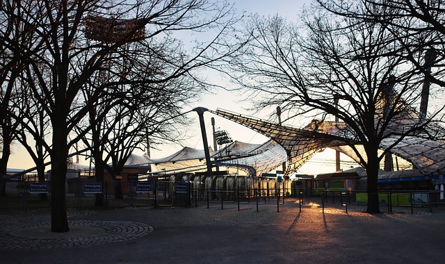 如帕尔默和 如帕尔默和