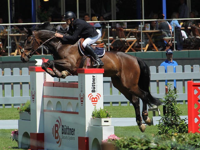 才能提升自 才能提升自